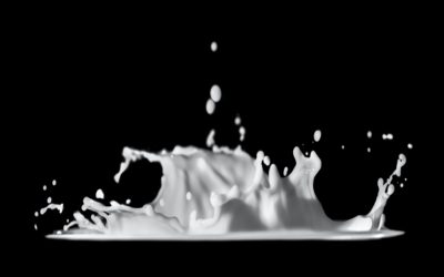 Le don de lait en cinq questions